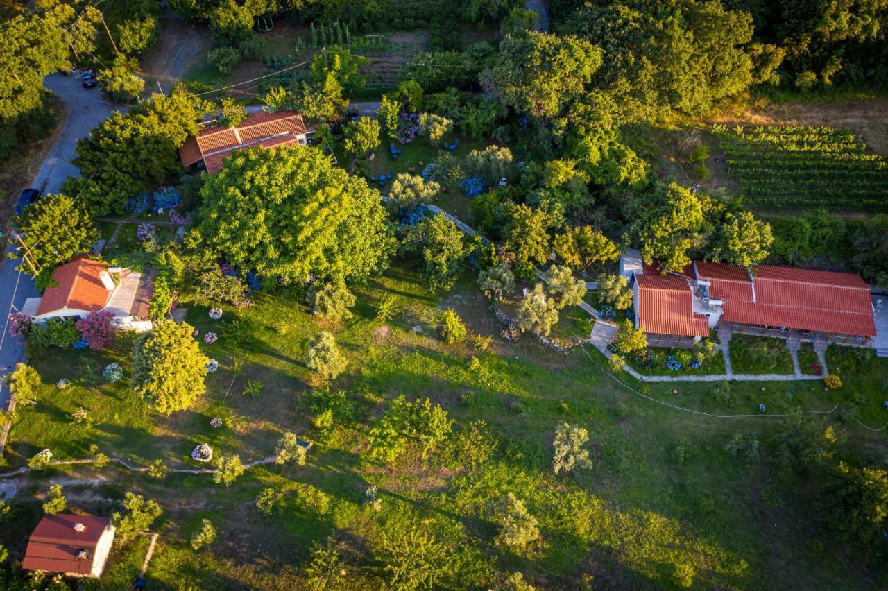 תרמה Alekas Studios מראה חיצוני תמונה